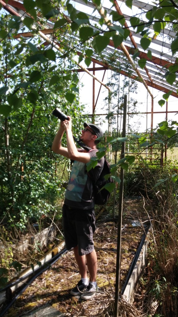 There were thorns and falling glass.