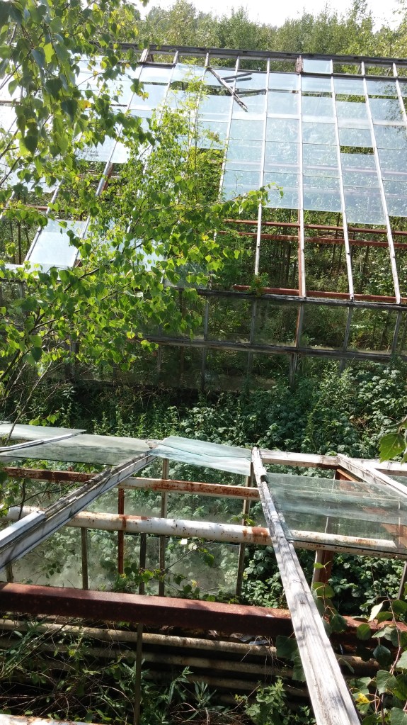 He did not offer cookies.