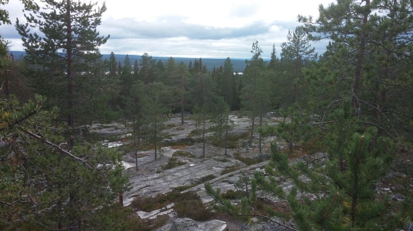 No Loyal Friend Was Ever There For Me